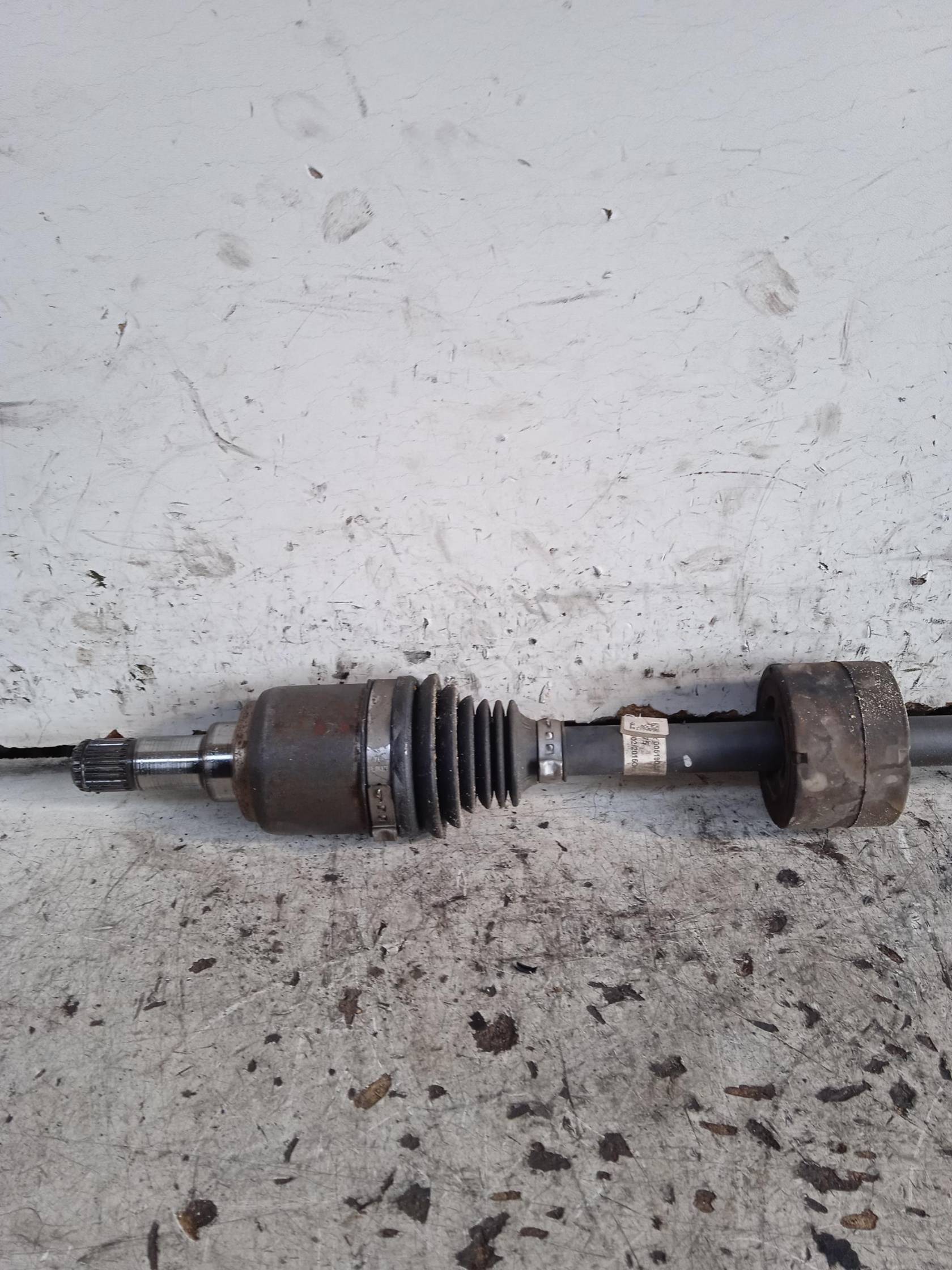 Semialbero ant. compl. dx.